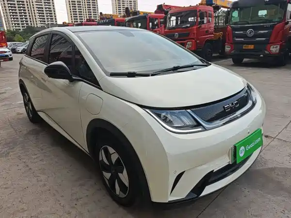 BYD Dolphin 2025