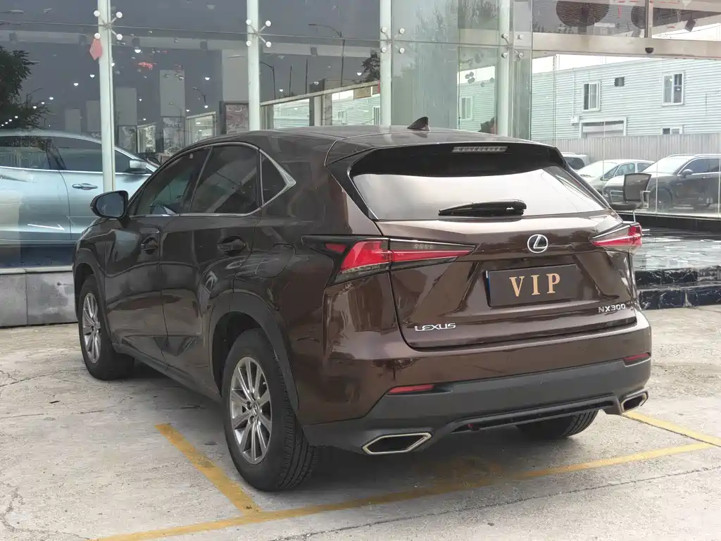 Lexus NX 2018 — фото 12