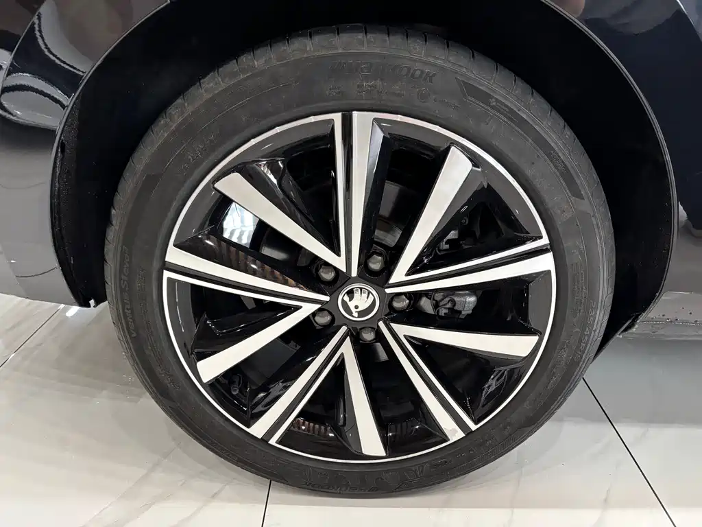 Skoda Speedy 2025 — фото 19
