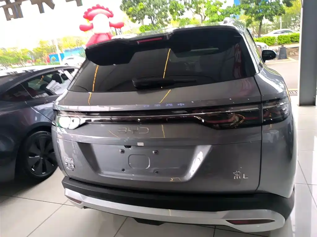BYD L DM-i 2024 — фото 6