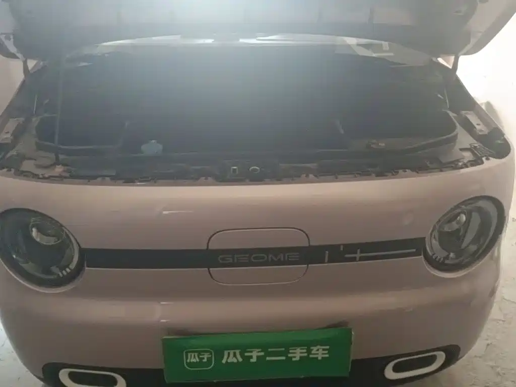 Geely Galaxy Panda 2025 — фото 17