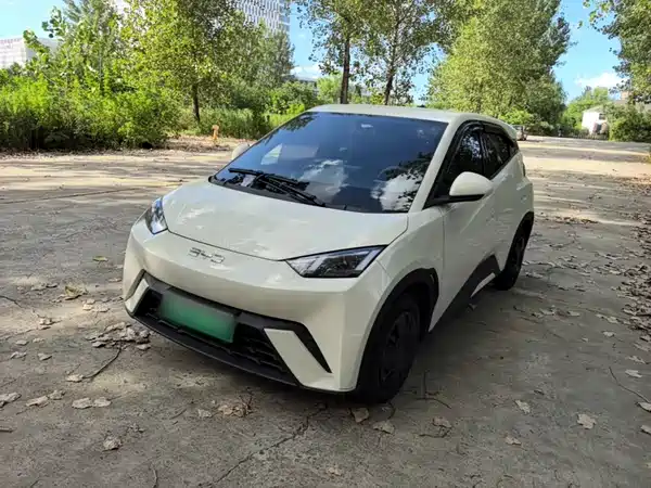 BYD Seagull 2025