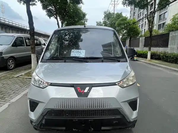 Wuling EV50 2020