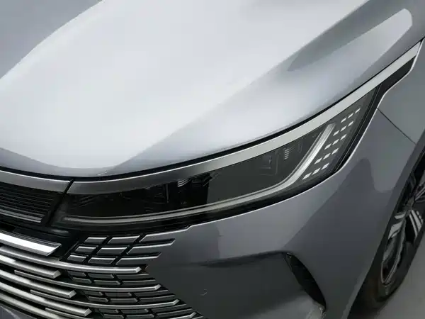 BYD Destroyer 05 2024