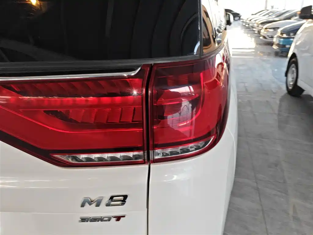 GAC Motor Trumpchi M8 2021 — фото 19
