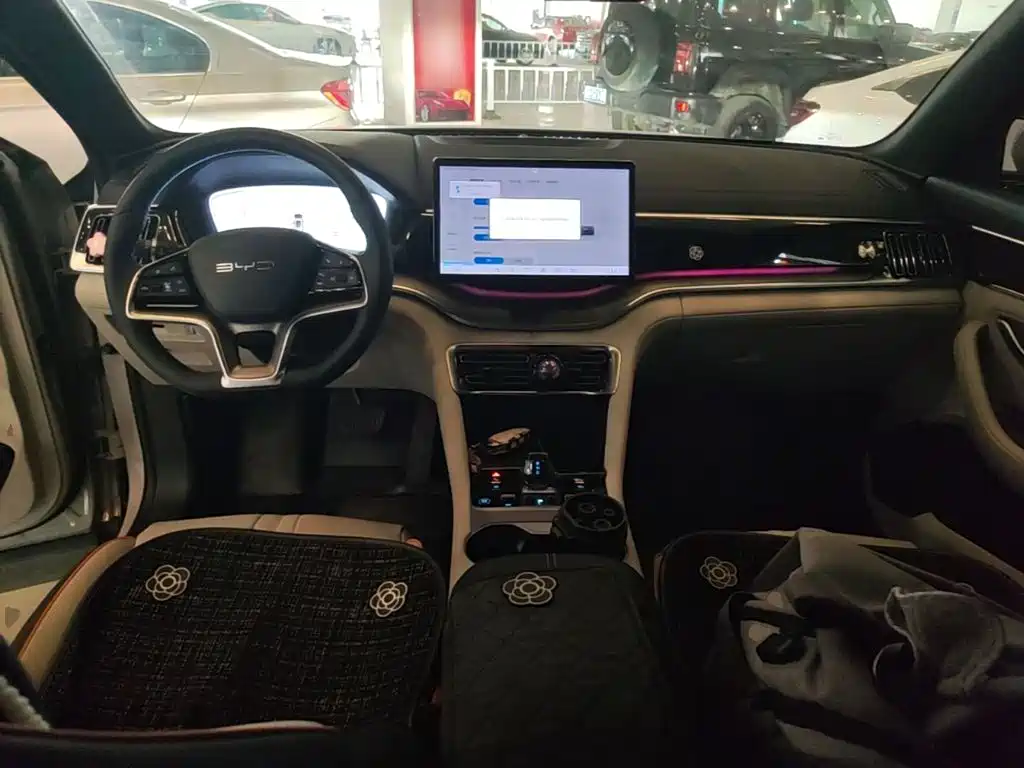 BYD Song PLUS New Energy 2023 — фото 10