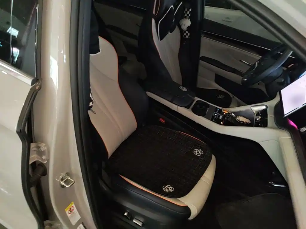 BYD Song PLUS New Energy 2023 — фото 25
