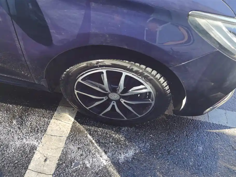 BYD MAX 2018