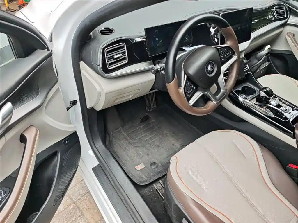 BYD Qin PLUS 2024 — фото 16