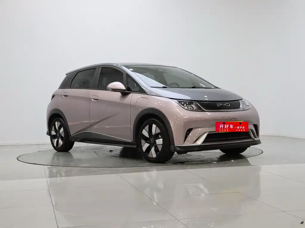 BYD Dolphin 2022