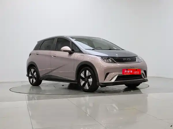BYD Dolphin 2022