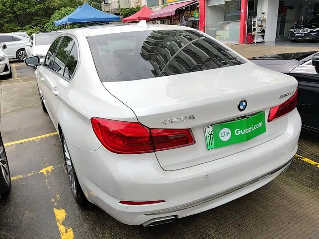 BMW 5 Series New Energy 2020