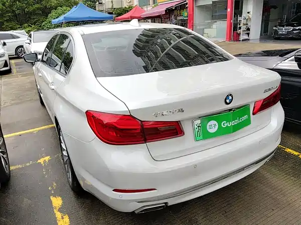 BMW 5 Series New Energy 2020
