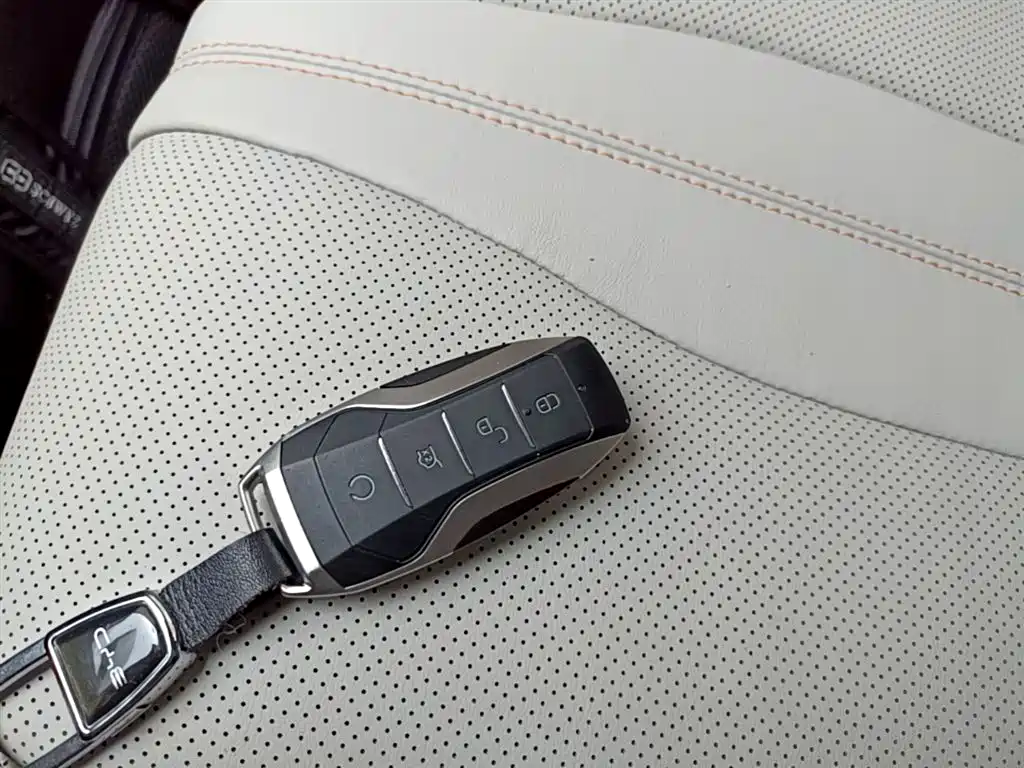 BYD PLUS New Energy 2022 — фото 9
