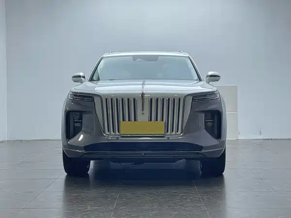 Hongqi E-HS9 2021