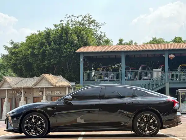 Neta S 2024