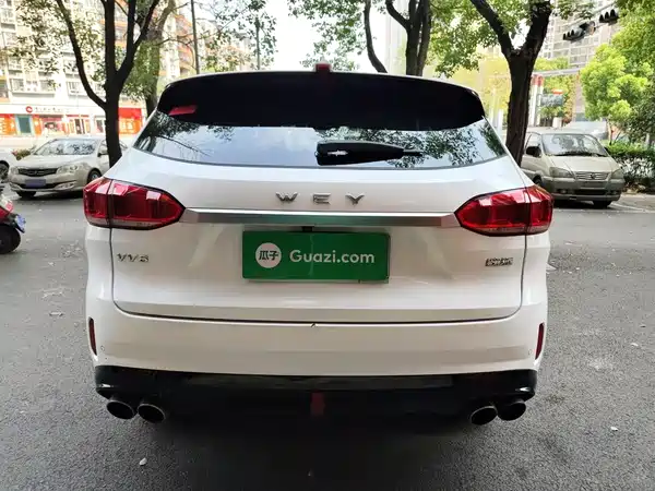 Wey VV6 2019