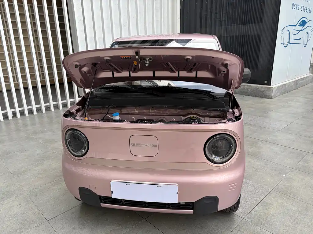Geely Galaxy Panda 2024