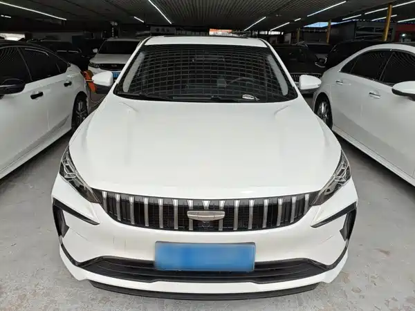 Geely Binrui 2023