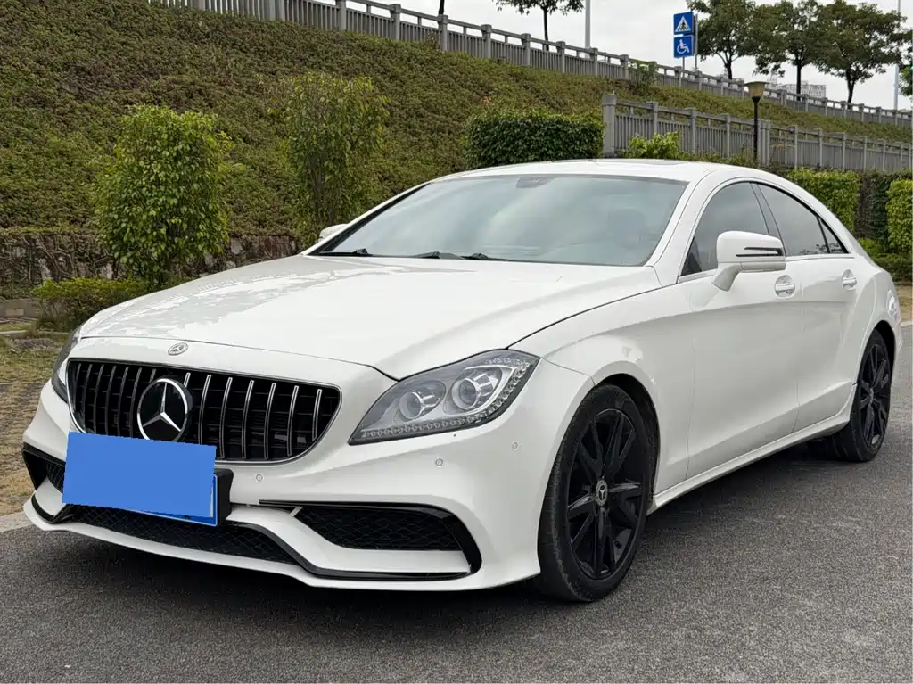 Mercedes-Benz CLS 2014 — фото 1