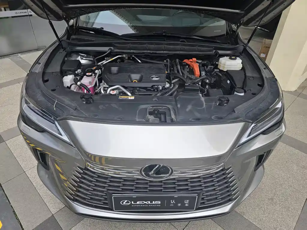 Lexus RX New Energy 2023 — фото 11
