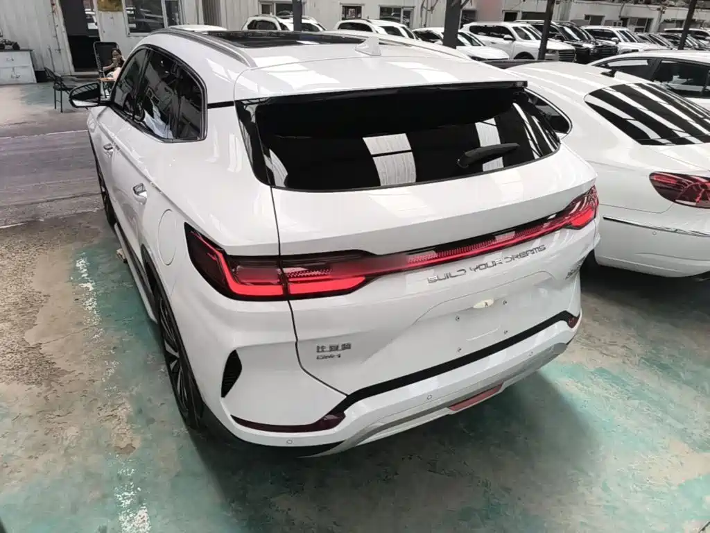 BYD Song PLUS New Energy 2024 — фото 23