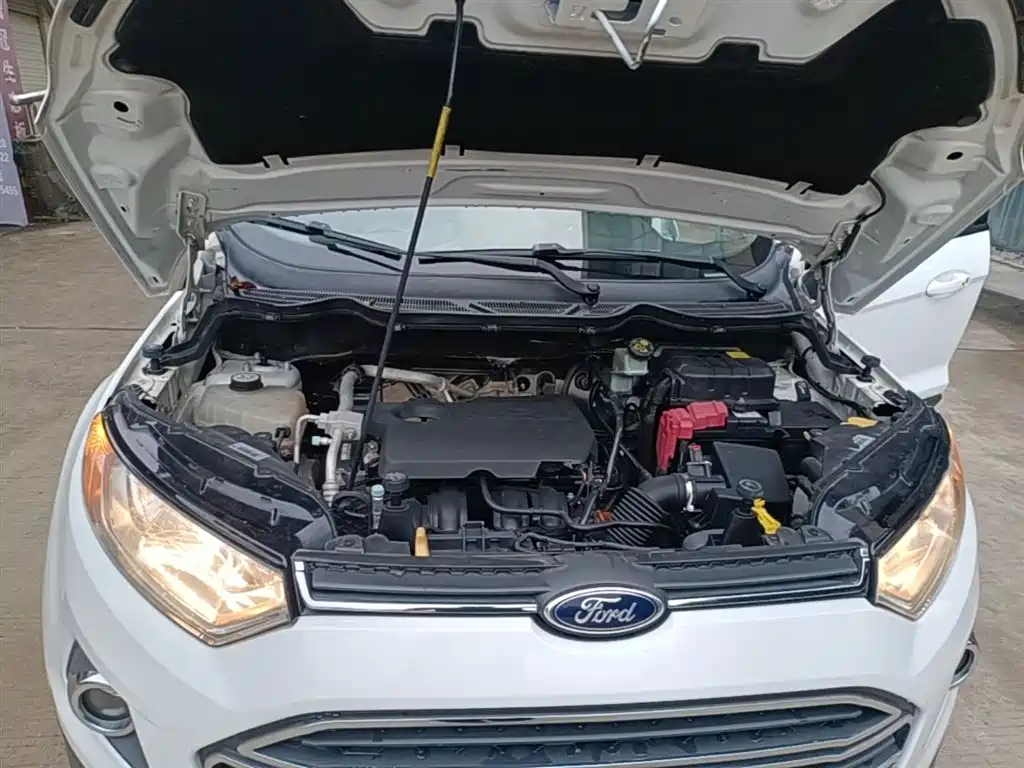Ford Ecosport 2015 — фото 20