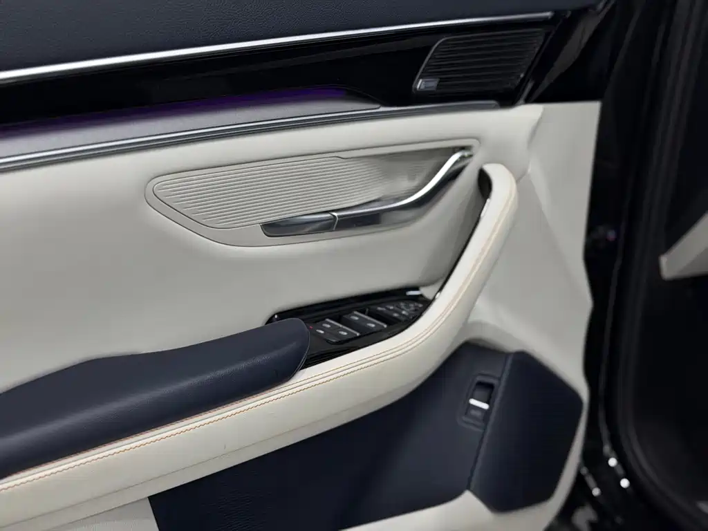 BYD PLUS New Energy 2021 — фото 16