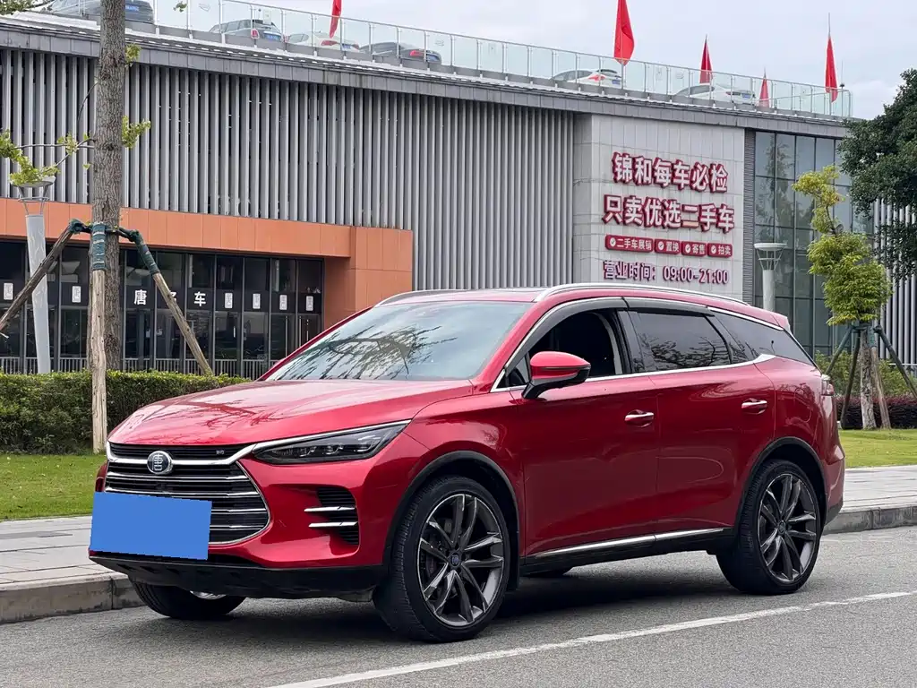 BYD Tang New Energy 2018 — фото 1