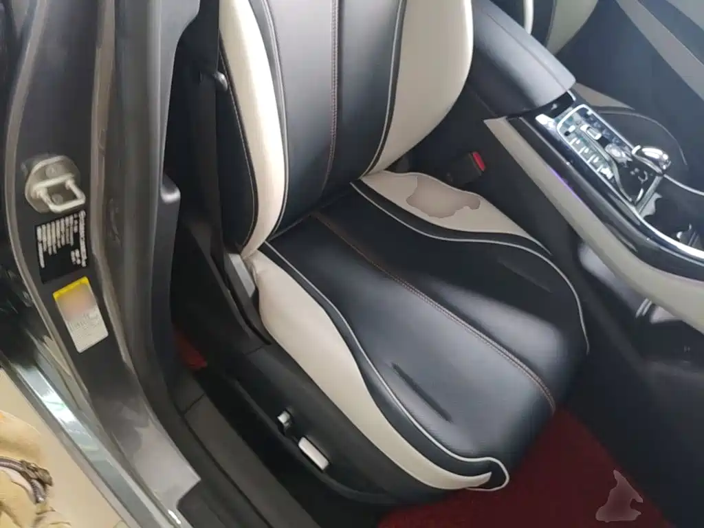 BYD Qin PLUS 2023 — фото 25