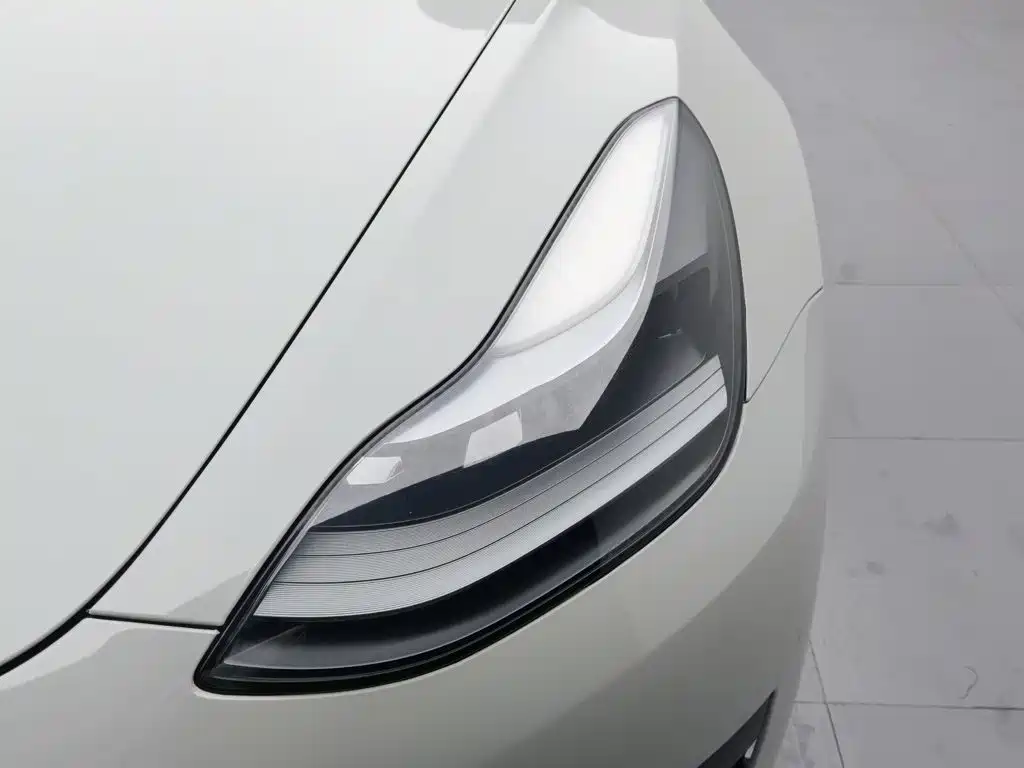 Tesla Model 3 2021 — фото 7