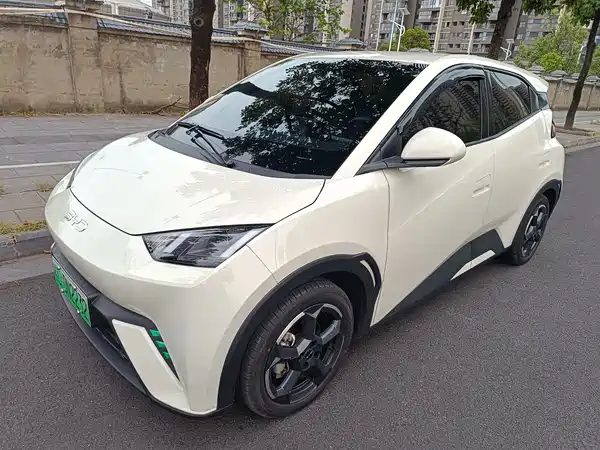 BYD Seagull 2024