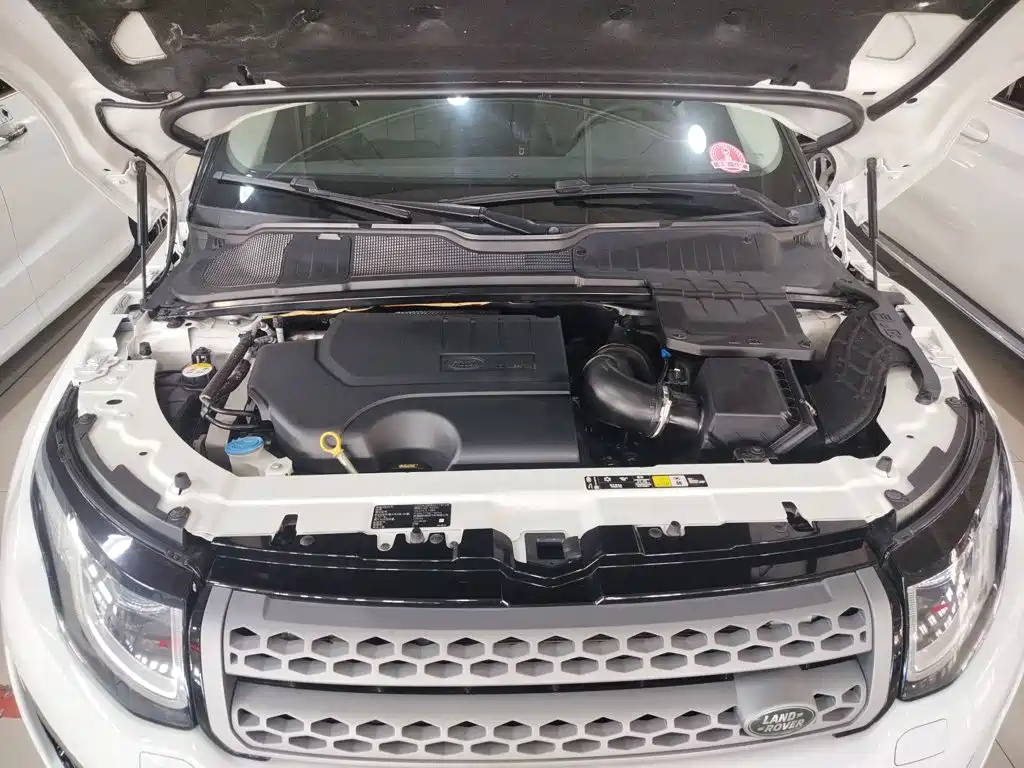 Land Rover Evoque 2019 — фото 12