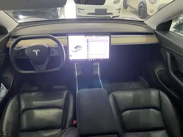 Tesla Model 3 2019