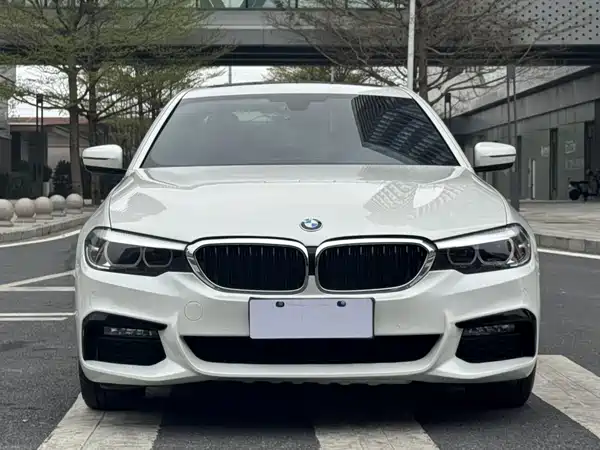 BMW 5 Series 2019