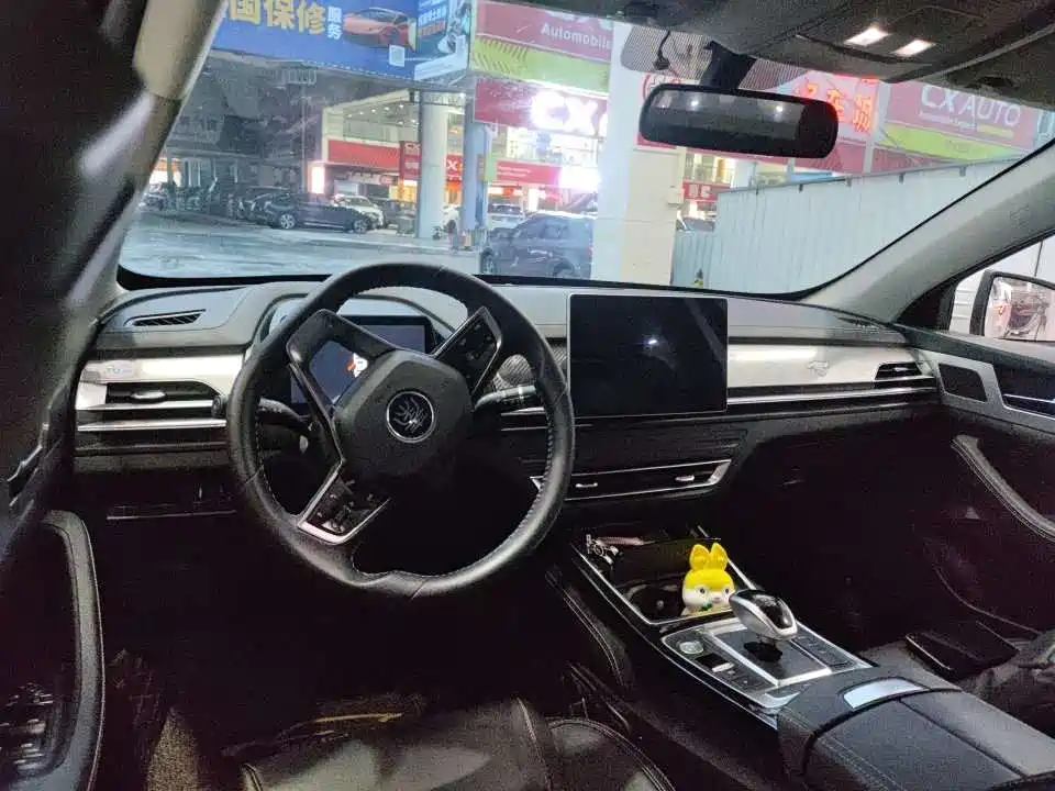 BYD Qin Pro NEV 2019 — фото 5