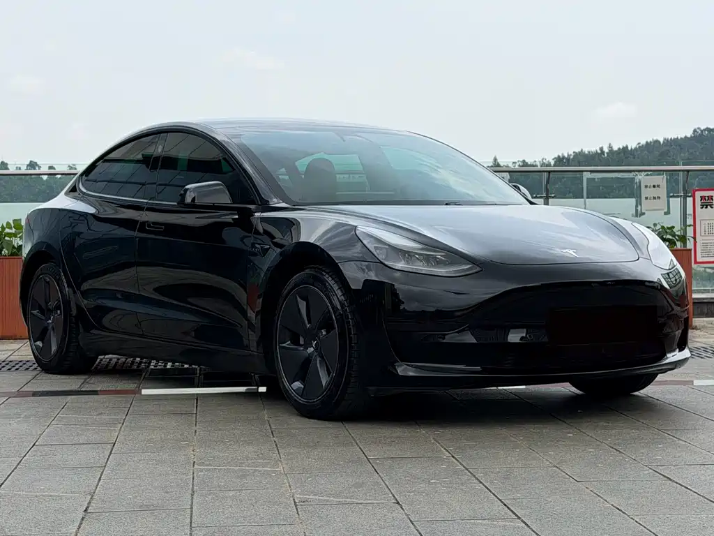 Tesla Model 3 2021 — фото 3