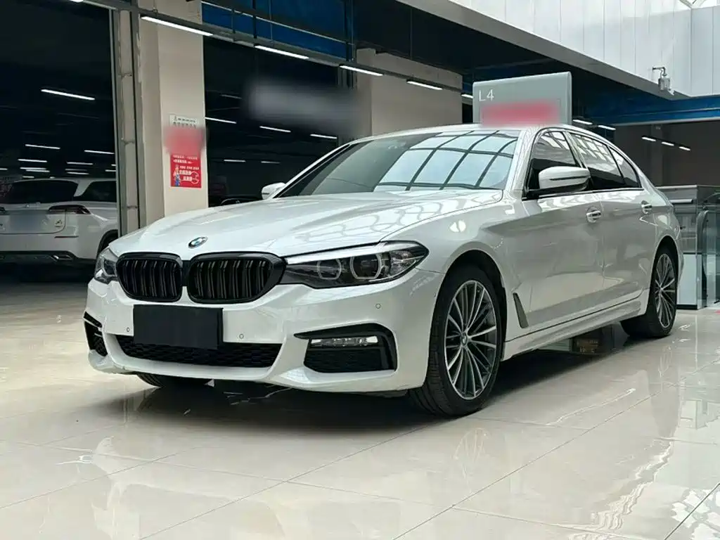 BMW 5 Series 2018 — фото 8