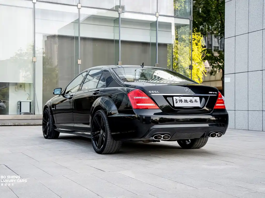 Mercedes-Benz S-Class AMG 2010 — фото 33
