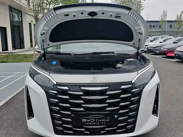 BYD Summer 2025