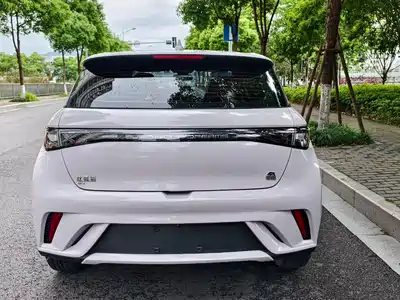 BYD Dolphin 2021