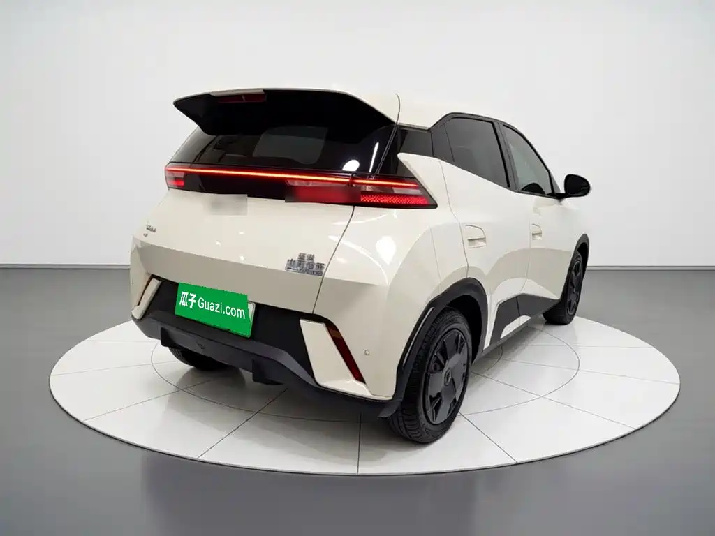 BYD Seagull 2024