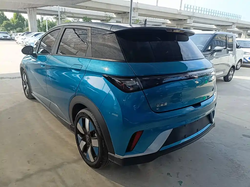 BYD Dolphin 2022
