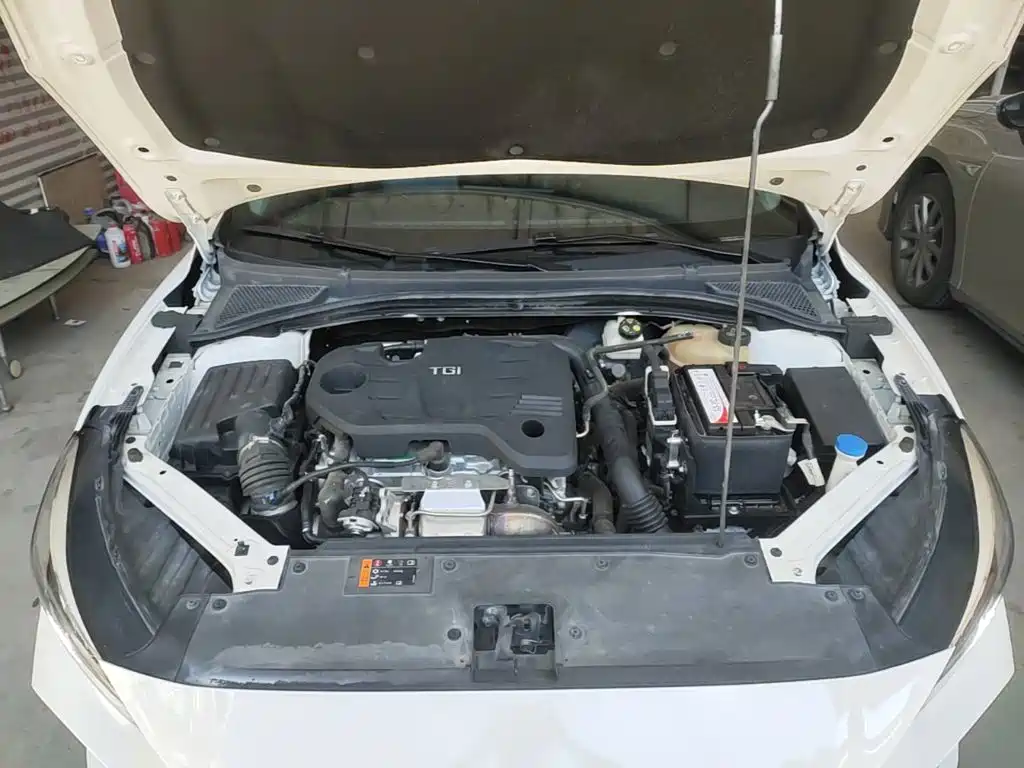 MG 5 2021 — фото 20
