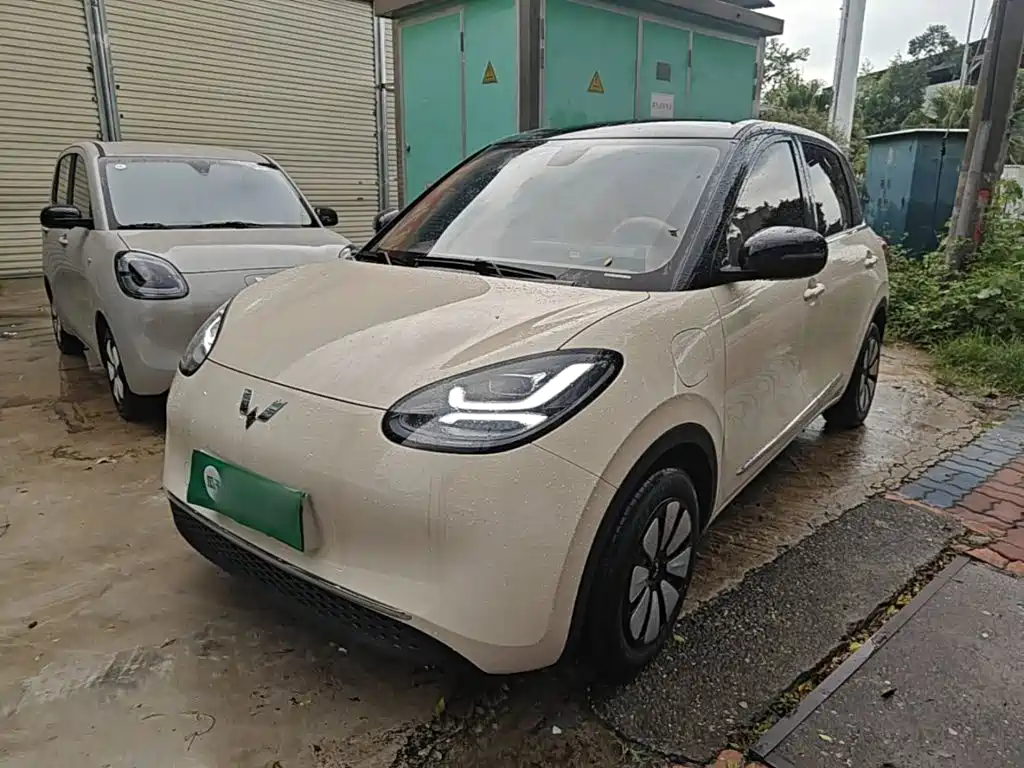 Wuling Bingo 2026