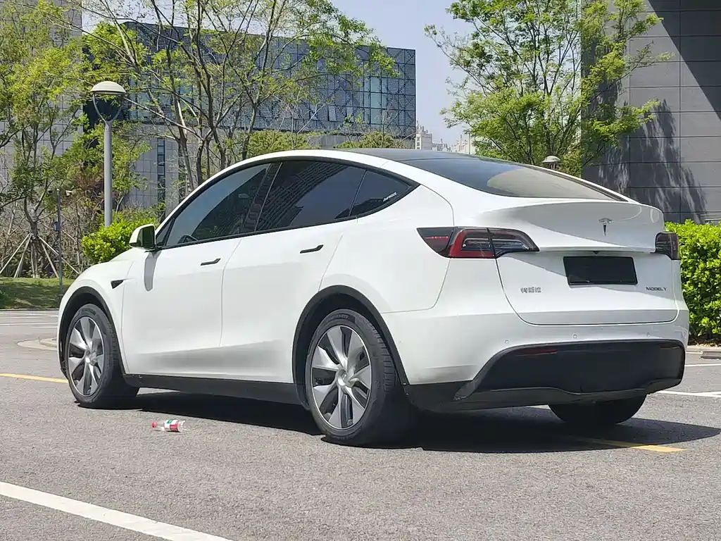 Tesla Model Y 2021 — фото 13