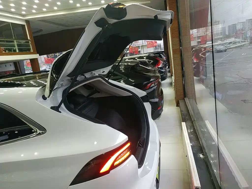 Dongfeng Fengxing T5 EVO 2024 — фото 15