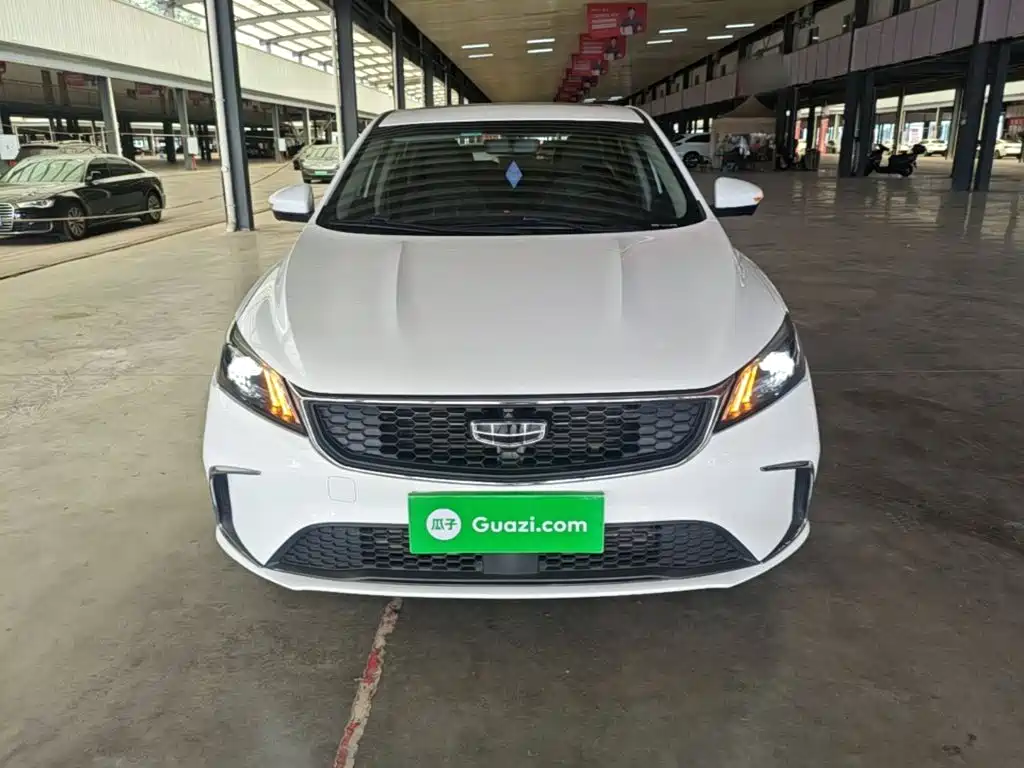 Geely Binrui 2022
