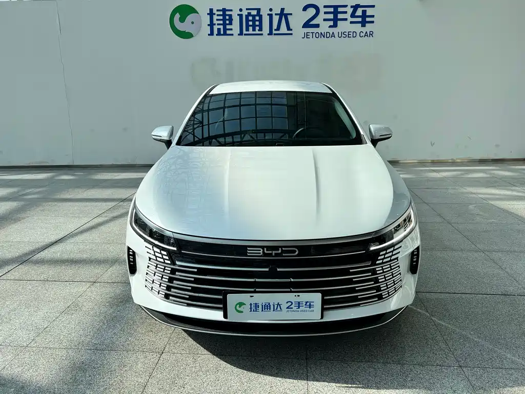BYD Destroyer 05 2024 — фото 3