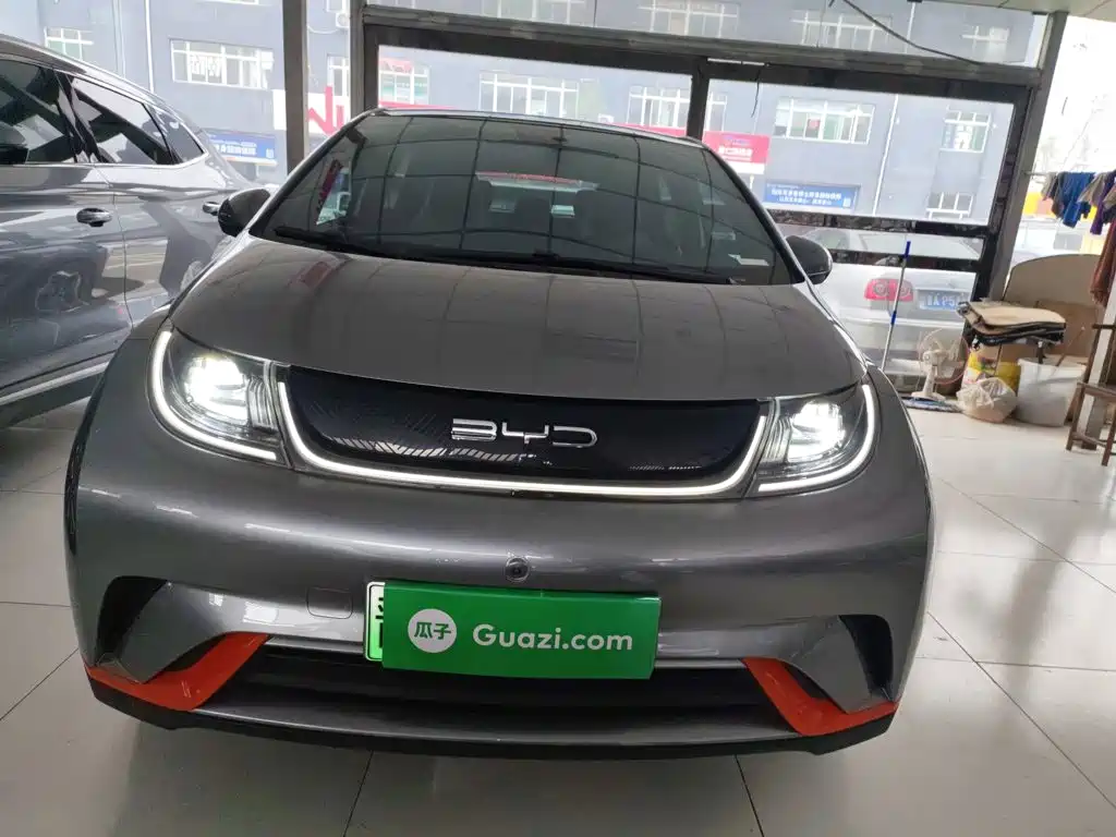 BYD Dolphin 2022